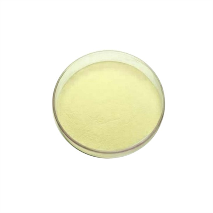 abc DRY Powder-113001